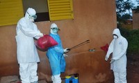 องค์การอนามัยโลกเตือนว่า โรคมรณะอีโบลาจะระบาดอย่างรวดเร็วถ้าไม่มีปฏิบัติการที่เด็ดขาด