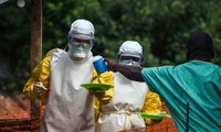 นานาประเทศสนับสนุนแอฟริกาตะวันตกในการรับมือกับเชื้ออีโบลาต่อไป