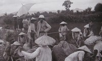 งานนิทรรศการภาพถ่ายเกี่ยวกับมุมมองของเวียดนามในต้นศตวรรษที่ 20