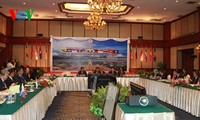 เวียดนามเข้าร่วมการประชุมเจ้าหน้าที่อาวุโสกลาโหมอาเซียน