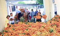 การลงทุนเชิงลึกช่วยเพิ่มมูลค่าการส่งออกผักและผลไม้