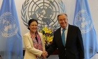 国連、多国間フォーラムにおけるベトナムの役割を高く評価