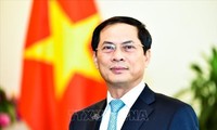รัฐมนตรีช่วยว่าการกระทรวงการต่างประเทศบุ่ยแทงเซินแจ้งให้ทราบเกี่ยวกับผลการประชุมสัปดาห์ผู้นำเอเปก 2018
