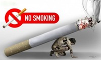 WHOเรียกร้องให้รัฐบาลประเทศต่างๆเร่งปฏิบัติเพื่อแก้ไขปัญหาการสูบบุหรี่ ปัญหาสุขภาพ สังคม สิ่งแวดล้อมและเศรษฐกิจ