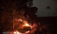 พบจุดร้อนที่เกิดไฟไหม้ป่ากว่า 2.500 จุดในเอเชียตะวันออกเฉียงใต้