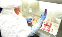 รัสเซียทำการทดสอบวัคซีนป้องกันไวรัส SARS-CoV-2