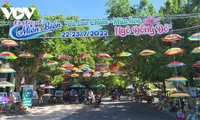 เปิดงานเฟสติวัลเขตทะเล “Cù Lao Chàm – ​ต้นร่มจีนออกดอกบานสะพรั่ง”