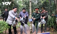 นายกรัฐมนตรี ฝ่ามมิงชิ้ง เปิดการรณรงค์ปลูกต้นไม้เพื่อรำลึกถึงประธานโฮจิมินห์ในช่วงตรุษเต๊ต