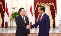 ประธานสภาแห่งชาติ เวืองดิ่งเหวะพบปะกับนาย โจโก วีโดโด  ประธานาธิบดีอินโดนีเซีย