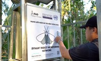 ระบบการเฝ้าระวังแมลงศัตรูพืชอัจฉริยะของเวียดนามเจาะตลาดญี่ปุ่น