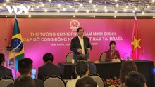Премьер-министр Фам Минь Тинь встретился с представителями вьетнамской диаспоры в Бразилии и некоторых странах Южной Америки
