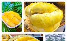 Perkenalkan Festival Durian serta Desa Kerajinan Membuat Benang dan Menenun Kain Sutra di Vietnam