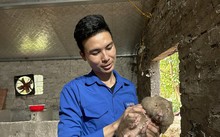 Ban Van Hong – Ein Junge der Dao züchtet Bambusratten