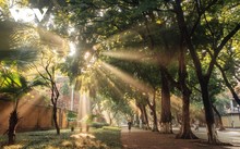 Top check-in spots around Hanoi during autumn