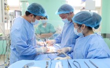 ベトナムの臓器移植の成果