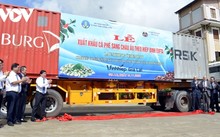 Green transformation promoted to increase exports to EU market