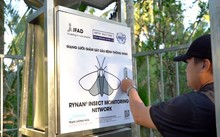 越南昆虫监测系统进军日本市场