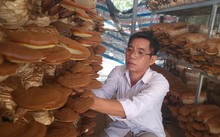 Binh Duong mise sur l’agriculture dite «intelligente»
