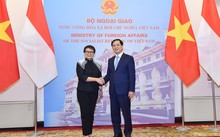 Bộ trưởng Ngoại giao Bùi Thanh Sơn đồng chủ trì Kỳ họp thứ 5 Ủy ban hợp tác song phương Việt Nam – Indonesia