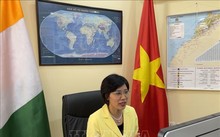 Hội thảo trực tuyến kết nối kinh doanh Việt Nam - Bờ Biển Ngà