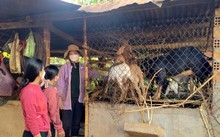 Cải thiện sinh kế cho phụ nữ dân tộc thiểu số ở Buôn Hồ, Đắk Lắk