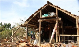 英国向越南提供50万英镑援助   用于克服洪涝后果