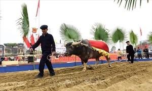 Long tong – Einzigartiges Fest der Volksgruppe der Tay in Ha Giang