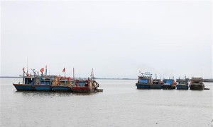 UNCLOS活用でベトナムを「強い海洋国家」にする