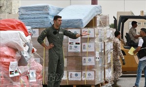 モロッコ地震やリビア大洪水への緊急の救助