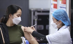 越南6月23日有5000多名新冠肺炎患者治愈出院