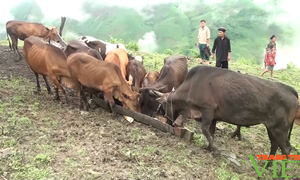 山罗省山区北安县的脱贫减贫工作