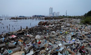 Мир стремится заключить глобальный договор о прекращении загрязнения пластиком