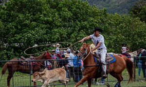 Rodeo - A symbol of the American Wild West