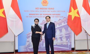 Bộ trưởng Ngoại giao Bùi Thanh Sơn đồng chủ trì Kỳ họp thứ 5 Ủy ban hợp tác song phương Việt Nam – Indonesia