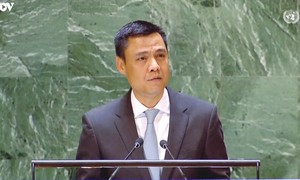 Việt Nam ủng hộ thúc đẩy thực hiện Khung hành động Sendai về giảm thiểu rủi ro thảm họa