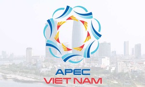  ผลสำเร็จของปีเอเปก2017สร้างพลังขับเคลื่อนใหม่ให้แก่เวียดนาม