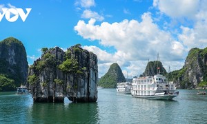 Vietnam’s tourism rebounds, with foreign arrivals beating pre-pandemic level​