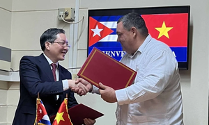 Việt Nam-Cuba hợp tác trong lĩnh vực nông nghiệp 
