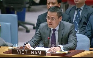 Vietnam Dorong Resolusi untuk Minta Mahkamah Internasional untuk Berkonsultasi tentang Perubahan Iklim