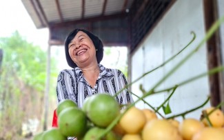 El jardín de lanzón, un producto turístico potencial de Ca Mau