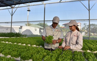 Vietnam eleva los criterios de evaluación del crecimiento verde 