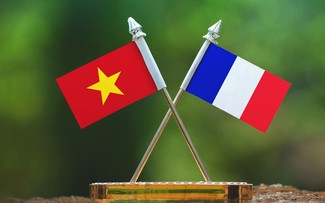 Buenas perspectivas para asociación estratégica Vietnam-Francia, evalúa funcionario francés