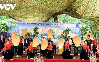 Vibrantes actividades en el V Festival del Mango de Yen Chau 2024
