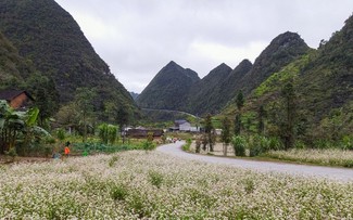 Espléndida meseta kárstica de Dong Van en Ha Giang