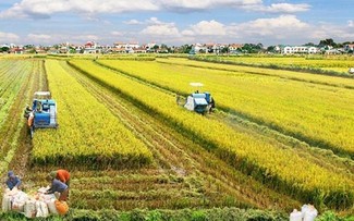 Desarrollar una agricultura sostenible: la dirección responsable de Vietnam