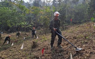 Vietnam y Corea del Sur cooperan en curso de capacitación sobre minas
