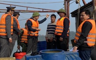 Gobierno de Vietnam adopta programa de acción contra la pesca ilegal, no declarada y no reglamentada 