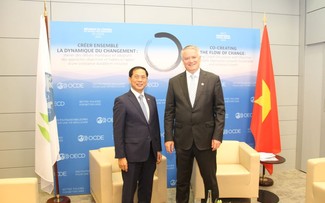 Canciller vietnamita se reúne con altos dirigentes de la diplomacia de varios países