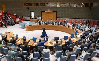 ONU elige cinco nuevos miembros no permanentes del Consejo de Seguridad