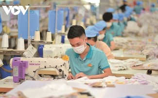 Alentadores signos de empresas textiles de Vietnam